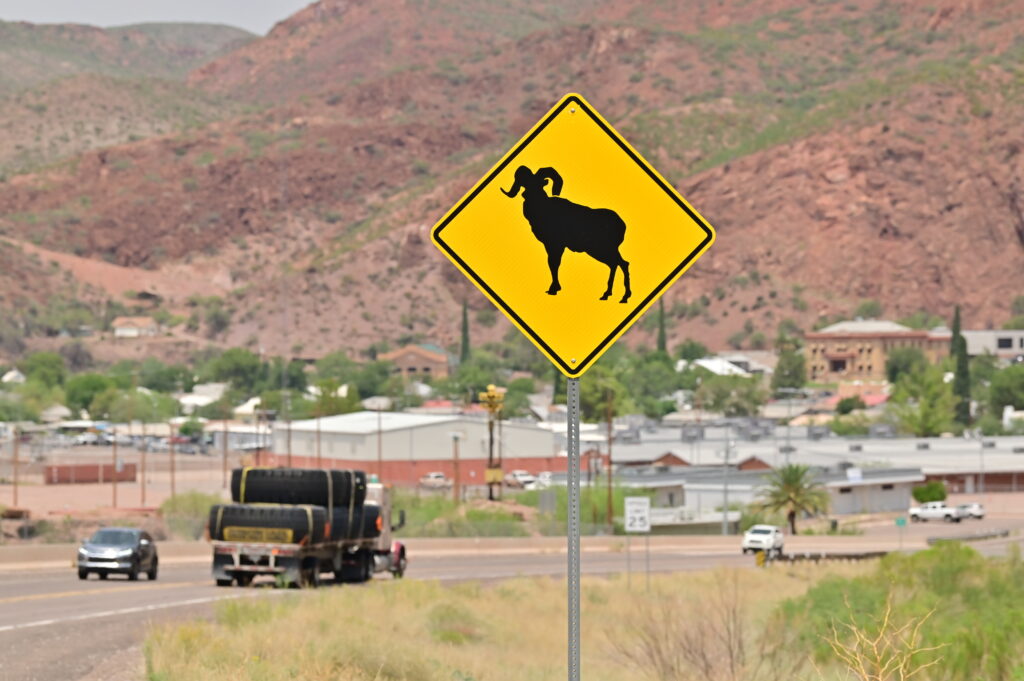 Photo of a bighorn sheep crossing sign near a road where traffic and mining trucks are driving with the town of Morenci, Ariz. in the background.